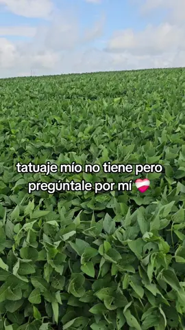 #fentysuperbrandday #sinmiedoalexito #siguemeydalelikeamisvideos #viral???tiktok #LIVEStory 