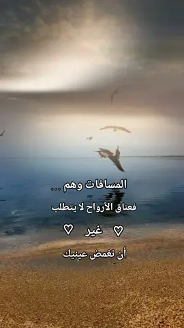 #اقتباسات_عميقة #عندما_تتحدث_الروح #عندما_يكتب_القلب #اقتباسات #أجمل_العبارات #ترندات_تيك_توك #tiktok #trend #اقتباسات_عبارات_خواطر🖤🦋❤️ #مشاهير_تيك_توك #explore #foryou #كلام_من_القلب #fyp #viral #ترند #foryoupage #CapCut 
