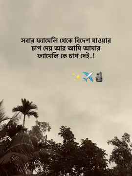 সবার ফ্যামেলি থেকে বিদেশ যাওয়ার চাপ দেয় আর আমি আমার ফ্যামেলি কে চাপ দেই #foryou #foryoupage #tiktok #tamzid 