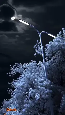 Selamat malam