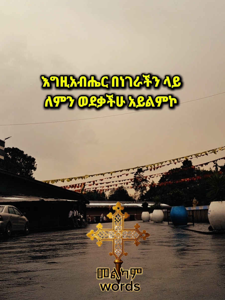 እግዚአብሔር መሀሪ ነው 🙏 #እግዚአብሔር_መልካም_ነው #ኢየሱስ #ኪዳነምህረትእናቴ #ማርያም #ኦርቶዶክስ_ተዋህዶ_ፀንታ_ለዘለዓለም_ትኑር #fyp #viral 