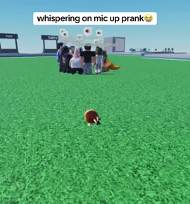 Watch till end☠️ ##roblox ##micup ##vc ##pancake ##trolling ##fyp ##fypp ##fypviralシ ##viral_video