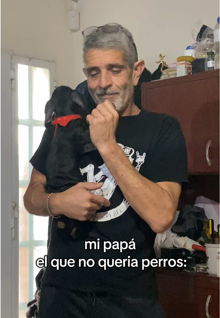 bailando una cumbia con torcuato por #fyp #perros #perrosalchicha #paratii 