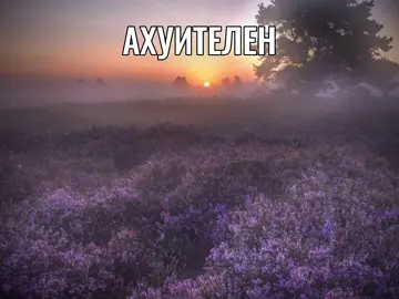 @lunx #bf #ily #щп #песня 