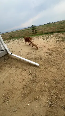 Cannot believe the day has finally come that we have officially moved into our home! The pod is completely empty which is crazy! Now it’s time to unpack :) #move #moveinday #moving #Home #homebuyer #homeowner #newhome #moved #colorado 