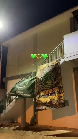 #pagarnusa86💚🔱シ #storypagarnusa #gasmilirboyo #fyp #xyzbca #pagarnusagasmi1986 #palembang #foryou #fypツ 