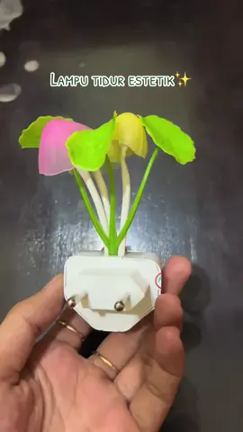 Yang paling dicari sudah restock #lamputidur #lamputidurjamur #lamputiduravatar 
