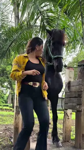 #horse #dressage #caballos 
