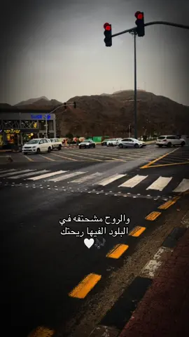 #يوم_الوعد 🎶🤍 #عقد_الجلاد 