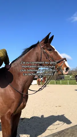 😢😢#horse #cavalier #pourtoii #equitation #cheval 