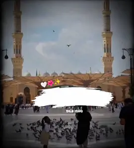 سنی غدار نہیں ہو سکتا 💯✌️✨#foryou #foryoupage #viralvideo #islamic_video #trending 