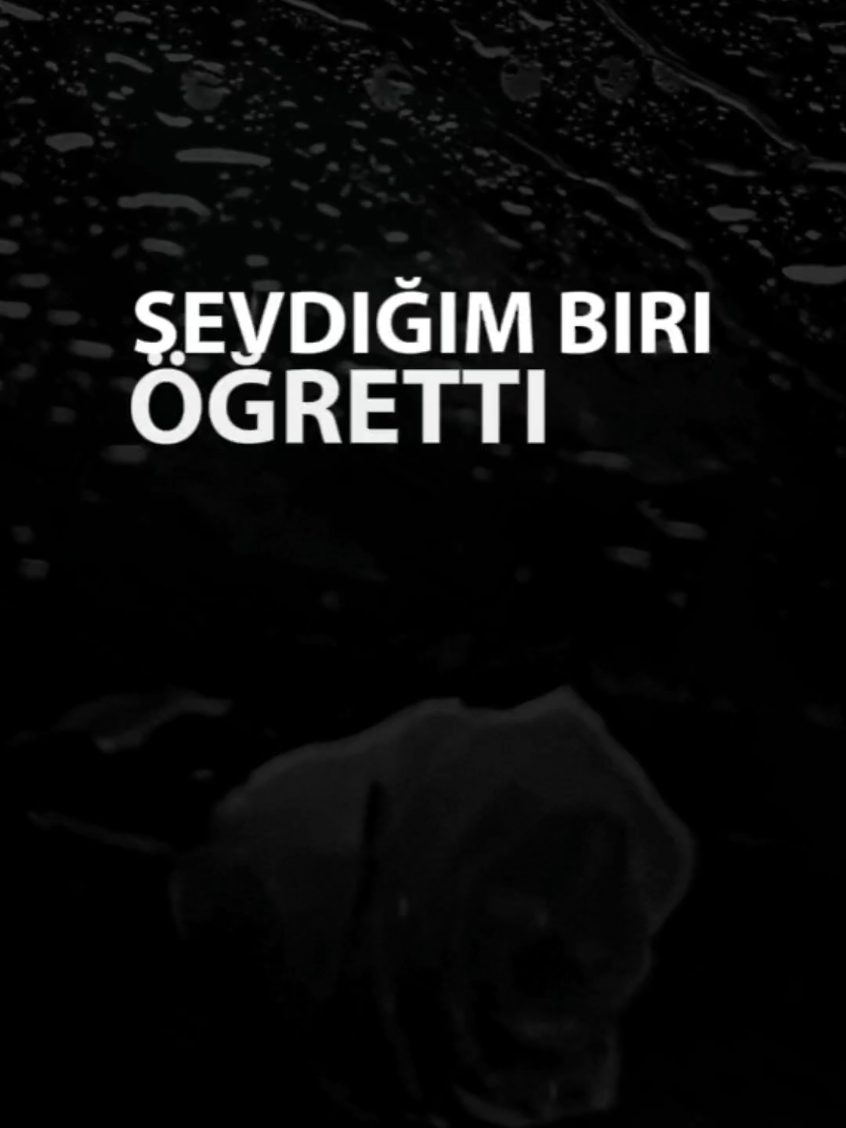 🖤 Çok Sevdim. Yetmedi. Güzel sevdim. O da yetmedi… Meğer sevgi, sadece içimdeymiş. O bunu hiç fark etmedi… Bu acıyı anlat deseler… Ben susardım ya sen? #duygusalsözler #piano  #kalpkırıklığı #sessizçığlık  #şiirsokakta #öğrendim  #SiyahBeyazAsk 