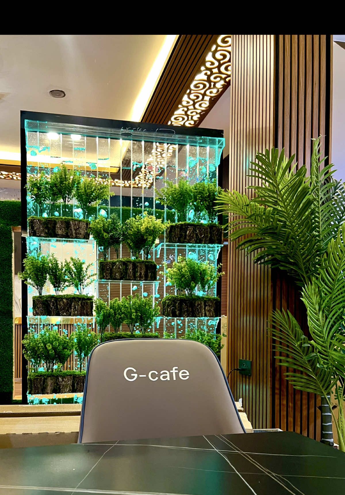 GOlJANO GARDEN @Goljanno Garden Café ☕️ @Goljano restaurant #CapCut #somalilandtiktok💚🤍❤ #awdal_borama #somalia🇸🇴 #somalitiktok #ethiopian_tik_tok🇪🇹🇪🇹🇪🇹🇪🇹 