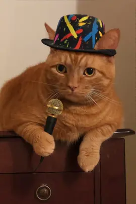 #singingcat #viralvideo #funny #parody #cat #catvideo #creatorsearchinsights #catlover 