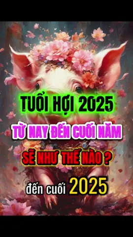 Tuổi Hợi nghe nhé#tuvi #tuvi12congiap #12congiap #phongthuytamlinh #phongthuy #tuoihoi #tuvituoihoi #