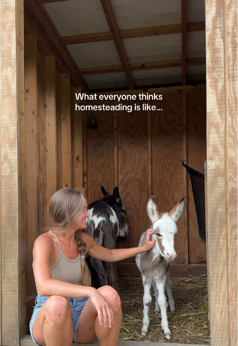 👩🏼‍🌾🌤️🏡🌾🐓 #homestead #homesteading #homesteadlife #fyp 