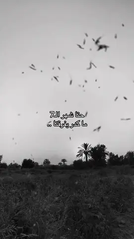 اله وانا معك #fyp #explore #fypシ゚ #اكسبلورexplore 