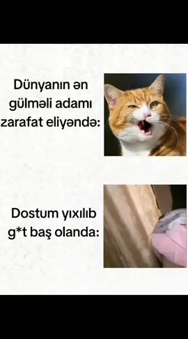 Etiketlə💌🤣😅 #keşfet #keşteyizz #keşfet #keşteyizz #azərbaycantiktok🇦🇿🇦🇿 #azərbaycan🇦🇿 #fyppppppppppppppppppppppp #viralvideotiktok #tutdaala🥴🌹 #keşfetteyizzz #fypシ゚viral #ibo #riyal #viral #fyp 