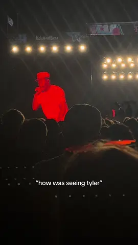 this is killing me #tylerthecreator #lollapalooza #concert #fangirl #foryoupage #chicago 