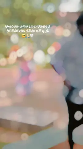 #CapCut| 🥺🤍🫶🏻🙏🏻!#tradition_dancer🤍#trending#fypシ゚viral#onemillionaudition#hingurakgoda🔥✨ @__🍻kali🐺🦠__ @D I G A A 🧿 @Eliza '❤️💋 @𝗔 𝗱 𝗶 𝘁 𝗵 𝗶 🎀 @Samadhi |🧋💋 @kularathna 🐾 @