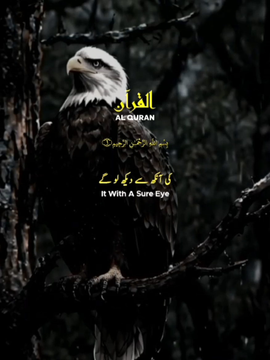 Surah Al Takasur, verses:3-7 Surah Al Jasiya, verses:23-24 Surah Al A'raaf,verse:179❤✨ #sound #peace #quran_recitation_143 