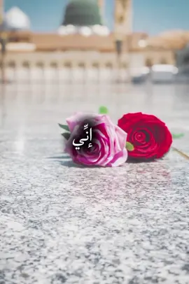 #ياضحكة_البيت_المعطر_بكرها #راحه_نفسيه #قران_كريم #نشيد #اسلاميات #اكتب_شي_توجر_عليه 