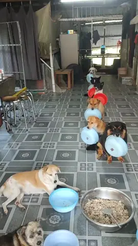 các bé rất dễ thương