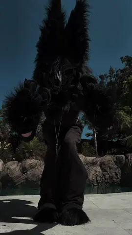 Forgot a part of the dance but I fear this is too good not to post                                                                                               #furry #fursuit #skulldog #monochrome #rpg  #rpgdance #roleplayinggame 