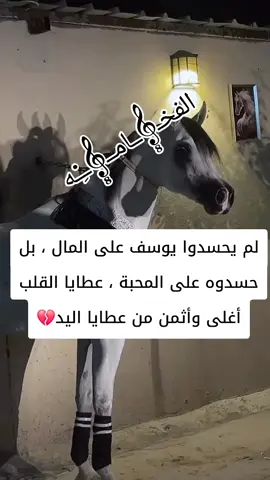 لم يحسدوا يوسف على المال ، بل حسدوه على المحبة ، عطايا القلب أغلى وأثمن من عطايا اليد💔💔💔💔💔 #فۣۗہخۣۗہـــــــــــآمۣۗہة،🌹👑🌹 