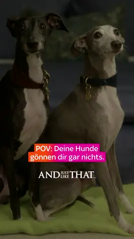 Du bist nicht die einzige mit Verlustängsten. 🐶😭 »And Just Like That…« Staffel 3 – jetzt bei Sky. #AJLT #WhatToWatch #SkyDeutschland