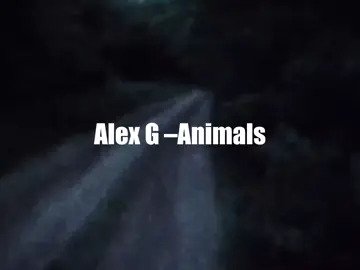 Alex G – Animals #song #песня #музыка 