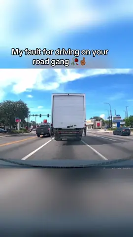 Fl drivers bruh#dashcam#relatable #baddriver
