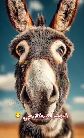 #منشن #البيست_فريند #😂😂 