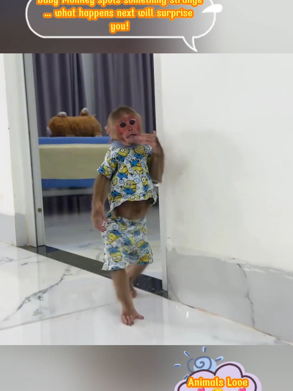 Baby Monkey spots something strange… what happens next will surprise you! #pets #monkeys #babymonkey #pet #animals 