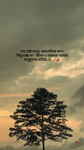 শত চেষ্টা করেও কোনোদিকে কোন  কিছু হচ্ছে না'- জীবন ও বাস্তবতা আমার  অনুকূলের বাহিরে..!!😅❤️‍🩹 .. .. .. #sad #tiktok #trending #foryou #foryoupage #fyp #tiktokbangladesh #status #story #stitch 