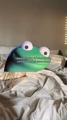 #Meme #MemeCut 