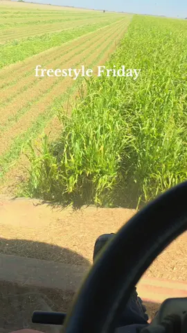 #4urp #fypage #fffffffffffyyyyyyyyyyypppppppppppp #farmlife #209 #norcalsiddin #farmtok 