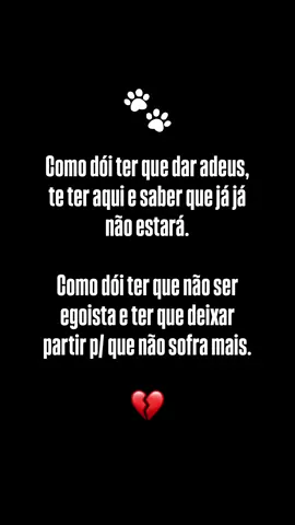 🐾 #pet #maedepet #adeus #cachorro #dog #eutanasia #luto #lutoeterno 