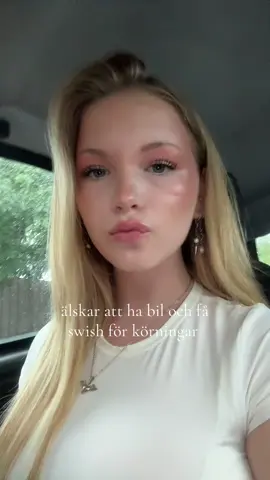 tips tips ta skjuts av mig och ziggy (bilen)