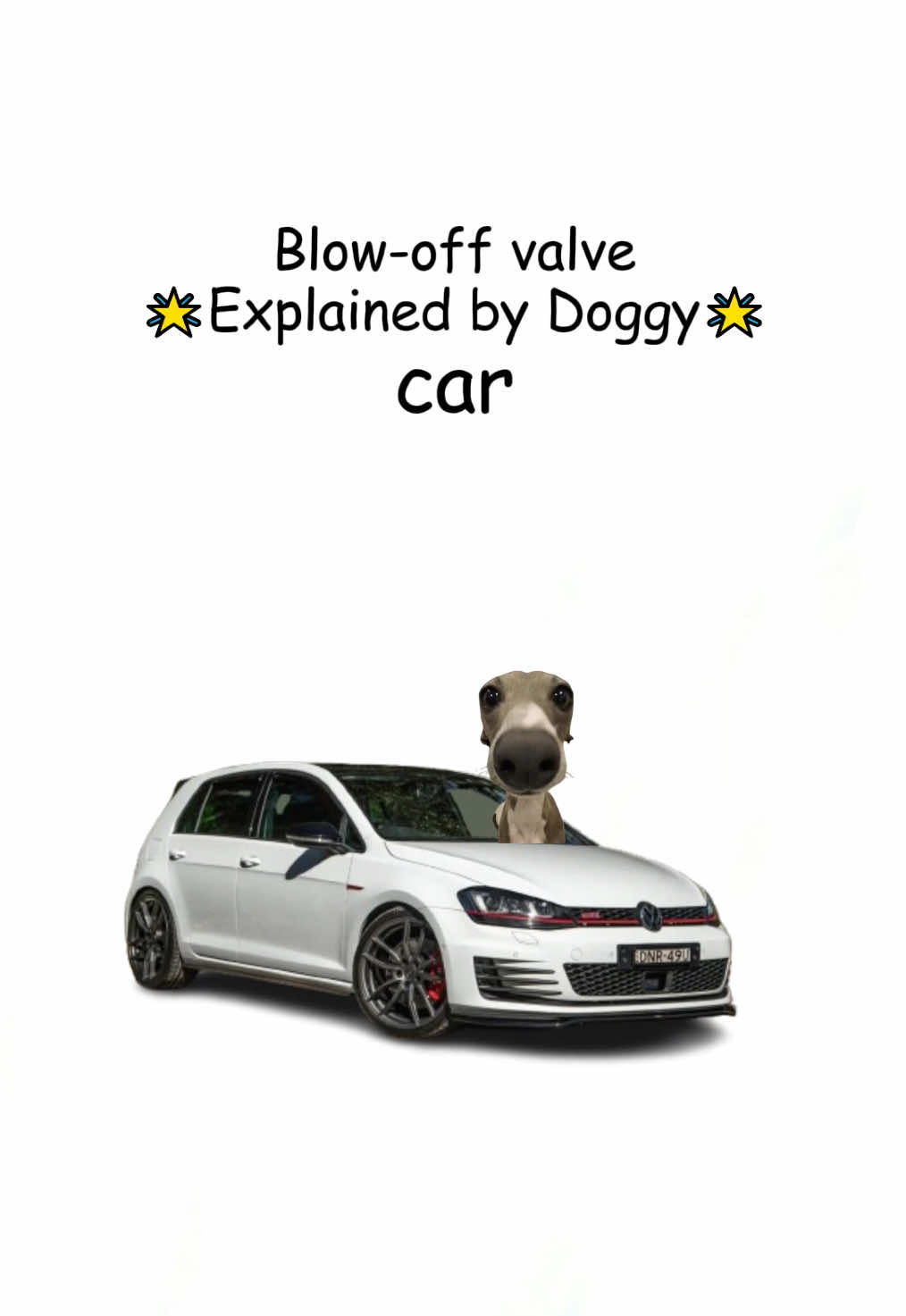 Doggy teaches blow-off valve #gti #fyp #blowoffvalve #viral #doganimation #carguy #cars 