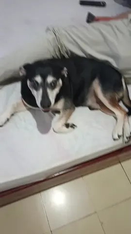 #dameungrrr 