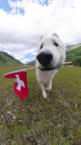 Today is the National Day of Switzerland 🇨🇭 Happy Birthday Switzerland. 🫕🧀🏔️ #switzerland #nationalday #swiss #mountains #schweiz #suisse #travelgram #alps #swissalps #Hiking #visitswitzerland #inlovewithswitzerland #myswitzerland #travelblogger #beautifuldestinations
