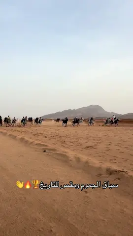 من تنظيمنا لسباق الجموم 🤩👋#فرسان_الخيل #فرس 