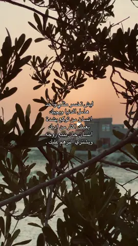 #شعروقصايد #شعر #fyp 