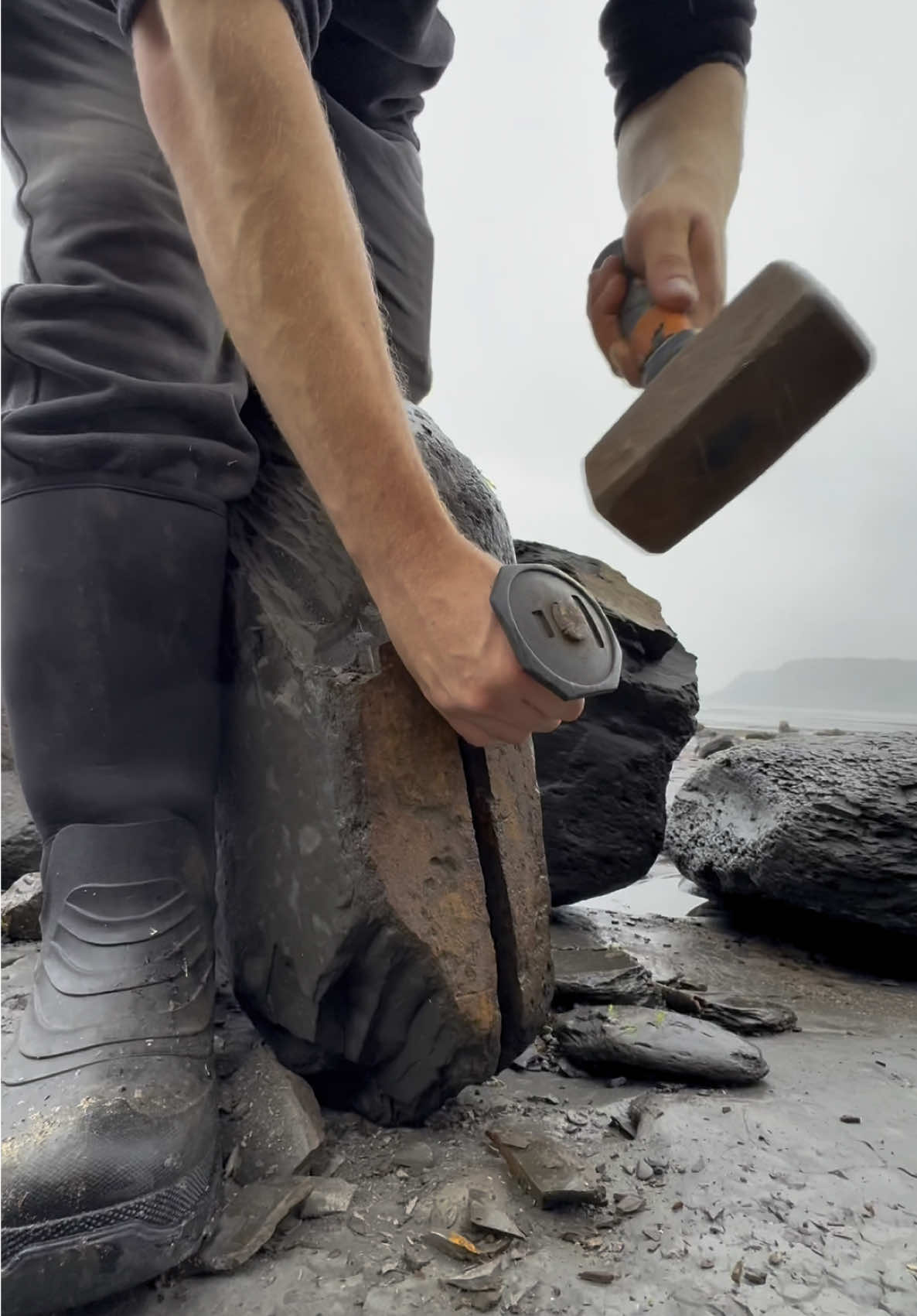 Jurassic Fossil and crystal hunting on a beach filled with Ancient sea creatures! This loose slab of shale was hiding something within! The round nodule opened up just like a geode! 🤯🏝 Thanks for supporting our page! 🐊 #natural #nature #fossil #fossils #ancient #animals #art #ammonite #ammonites #dinosaur #scientist  #minerals #paleontology #whitby #geologist #dorset #geology #charmouth #jurassic #yorkshire #fyp 