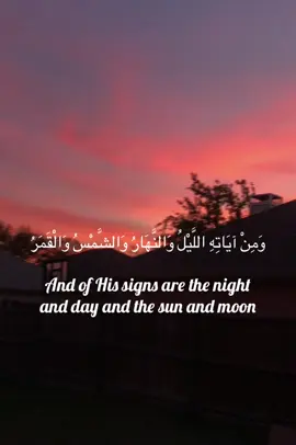 Beautiful recitation from Surah Fussilat by Skeikh @Belal Saif_بلال سيف ✨🌷 #fyp #quran #islamic_video #القران_الكريم 