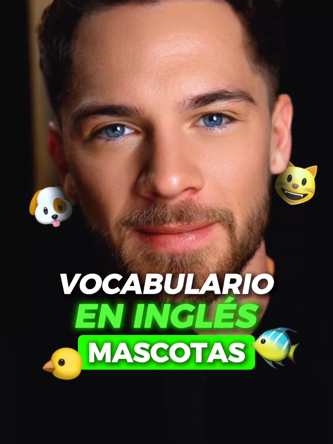 Vocabulario en inglés para hablar de tus mascotas. 🐾⁣ ⁣ ¿Tú también le hablas a tu mascota como si fuera una persona? ⁣Mira esto. ⤵️⁣ ⁣⁣ Si tienes un perro, un gato… o hasta un pez, también puedes hablar de ellos en inglés.⁣⁣ ⁣⁣ Mira estas 5 palabras útiles para describir sus cosas:⁣⁣ ⁣⁣ 🐶 Kennel → Jaula o caseta.⁣ 😺 Ball of yarn → Bola de hilo.⁣ 🐟 Filter → Filtro.⁣ 🦜 Nest → Nido.⁣ 🐹 Bedding → Camita.⁣⁣ ⁣ Aprender este vocabulario te ayuda a hablar de lo cotidiano… incluso de tu mascota. ⁣ ⁣⁣ Cuéntame abajo: ¿cómo se llama la tuya? 👇🏻⁣ #vocabulary #ingles #inglesonline #cursodeingles #aprendeingles #clasesdeingles #kaleanders
