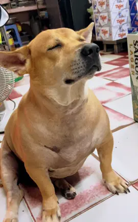 Cầm lấy tôi và con choá này ☺️
