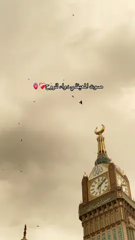 #ماهرالمعيقلي #اكسبلور؟ #الحرم #يارب #مكة_المكرمة 