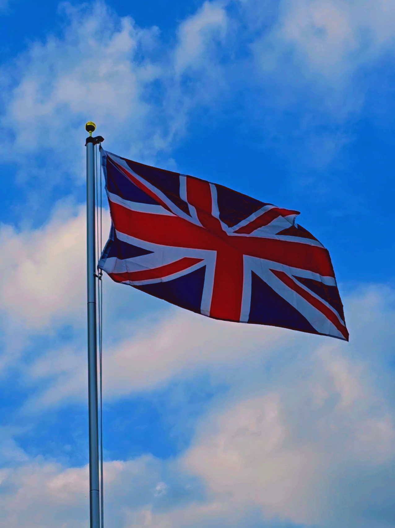 New flag proudly flying 20 feet high in the garden. #greatbritain #uk #flag #unionjack #freespeech #patriot 